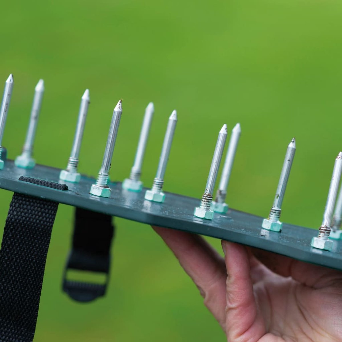 Talen Tools - Gazonpriksandalen - Groen