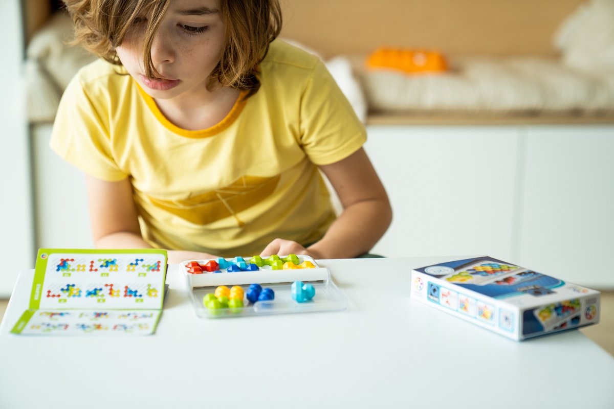 Smartgames Spel Iq Twins