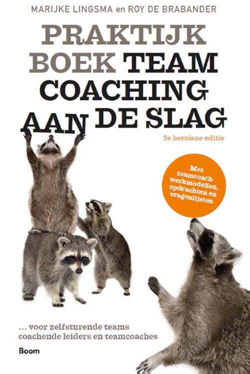Boom Uitgevers Praktijkboek Teamcoaching, aan de slag
