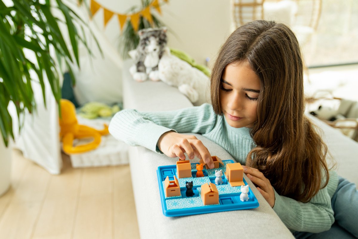 Smartgames Spel Cats and Boxes