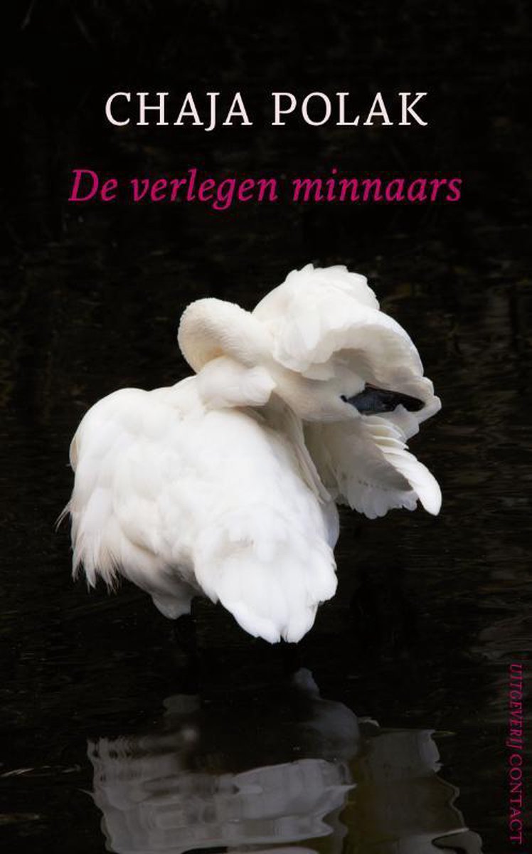 Contact De verlegen minnaars