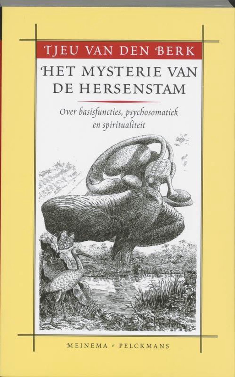 VBK Media Het mysterie van de hersenstam