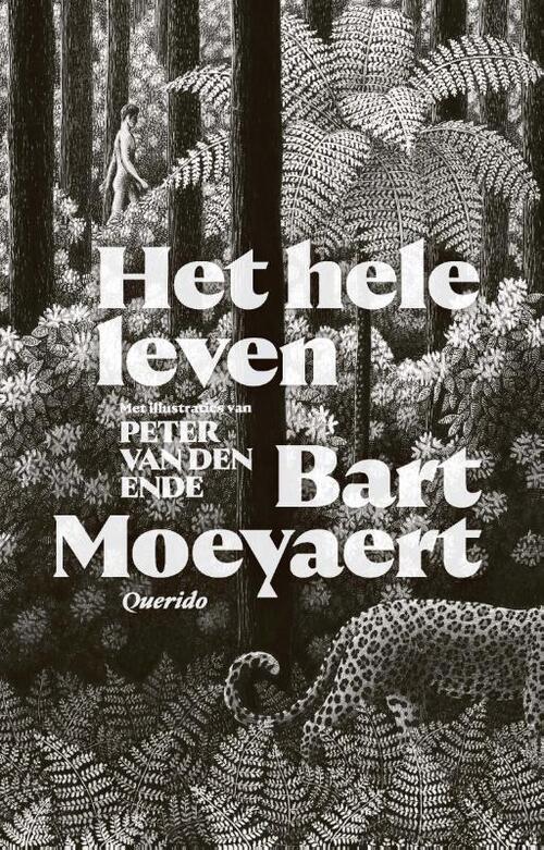 Querido Het hele leven