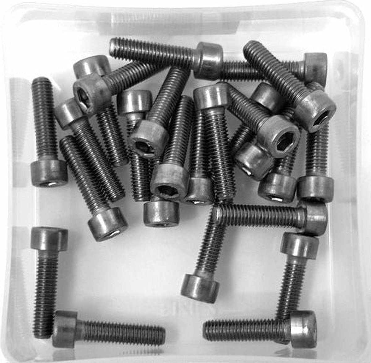 Bofix Inbusbout M5 X 20mm RVS 25 Stuks (214130)