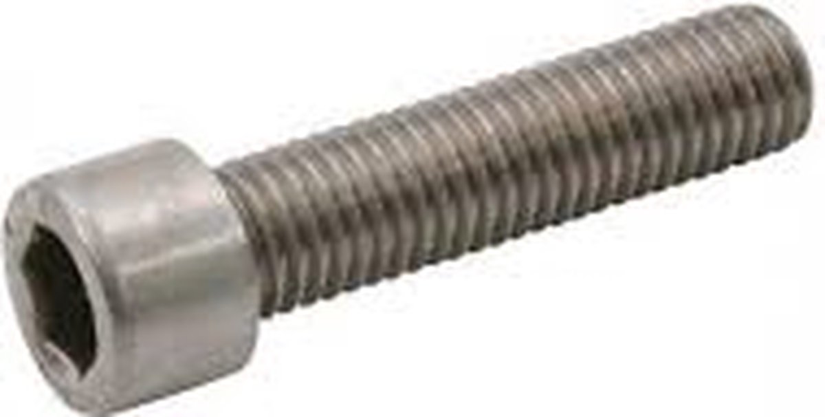 Bofix Inbusbout M5 X 20mm RVS 25 Stuks (214130)