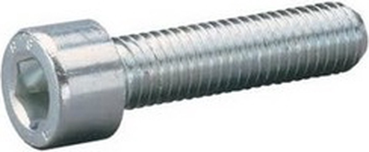 Bofix Inbusbout M5 X 20mm RVS 25 Stuks (214130)