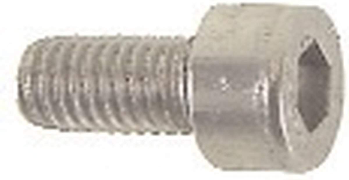 Bofix Inbusbout M5 X 20mm RVS 25 Stuks (214130)