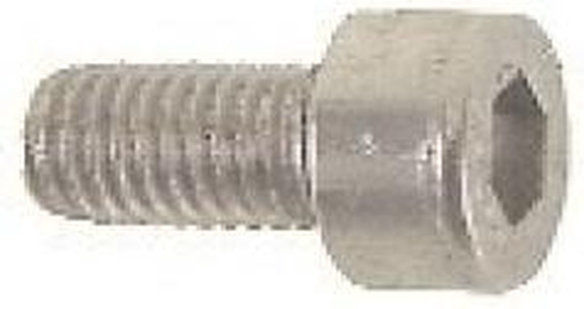 Bofix Inbusbout M5 X 20mm RVS 25 Stuks (214130)