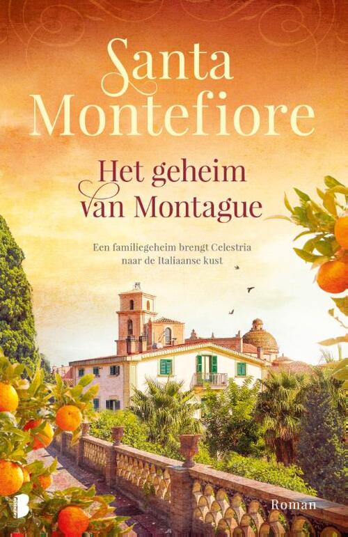 Boekerij Het geheim van Montague