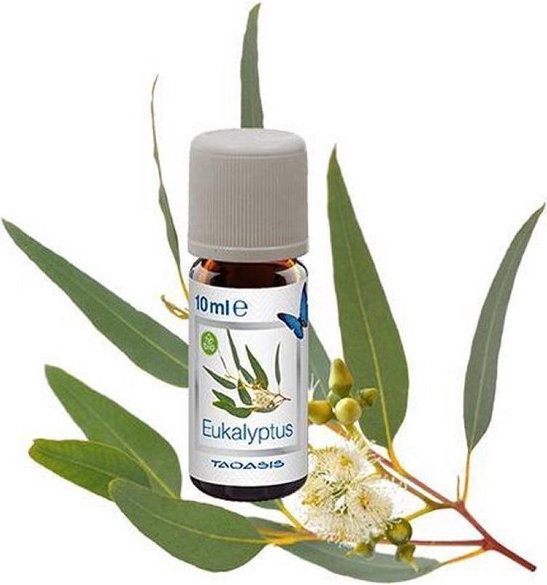 Bio Geurolie Eucalyptus