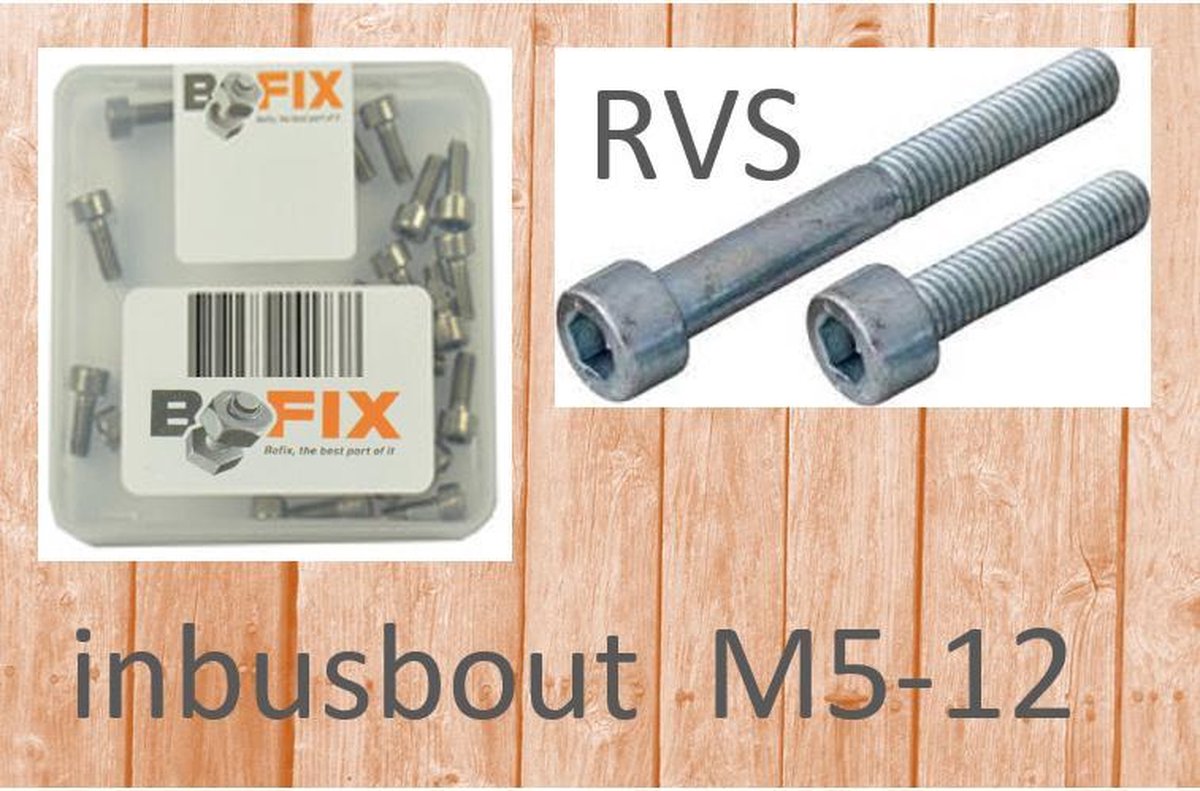 Bofix 214122 Inbusbout M5-12 RVS per 25