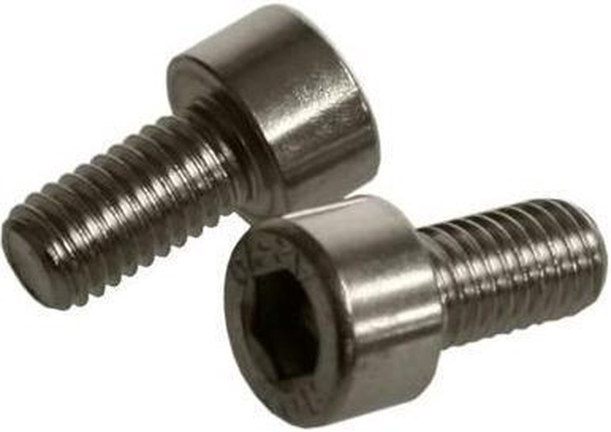 Bofix 214122 Inbusbout M5-12 RVS per 25