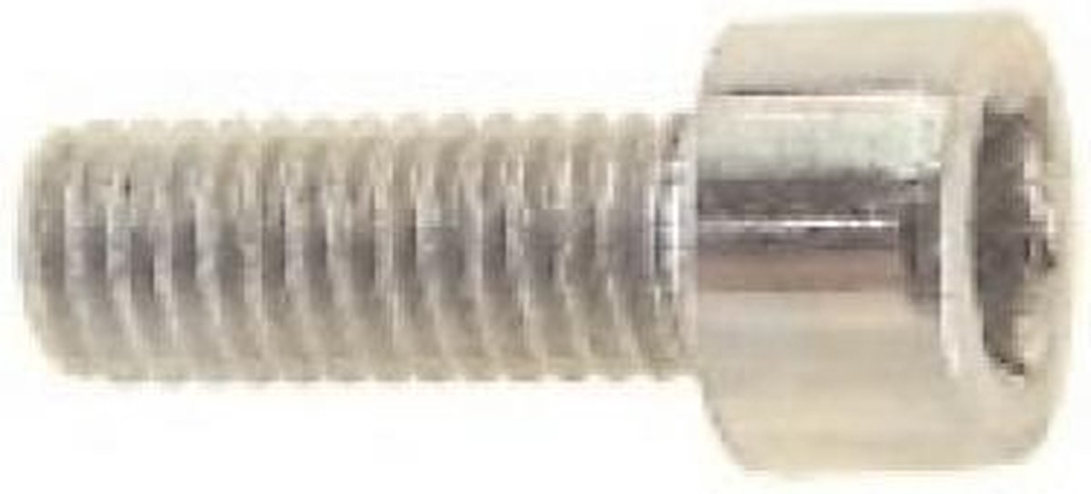 Bofix 214122 Inbusbout M5-12 RVS per 25