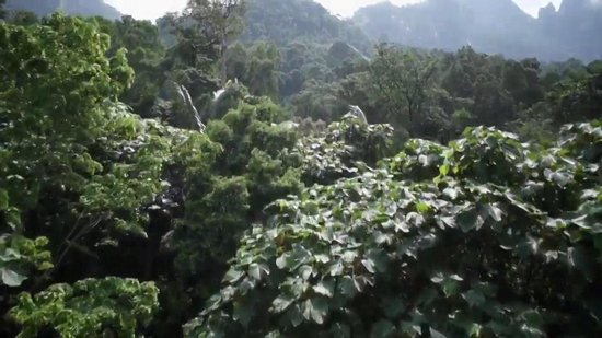 Vulli Sophie La Girafe babyspeeltje