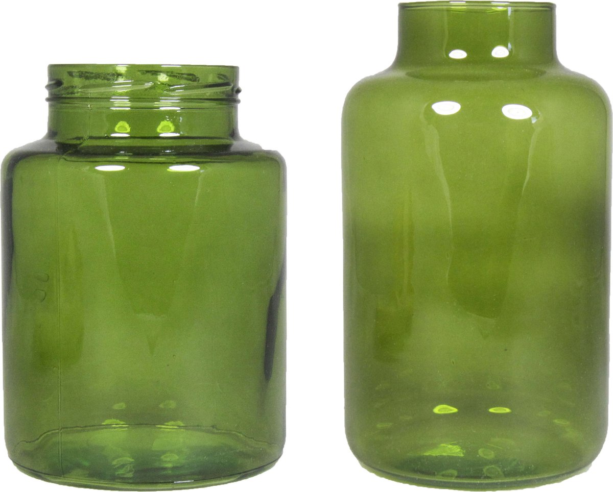 Floran Set Van 2 Bloemenvazen Transparant Glas - 20 X 15 Cm En 25 X 15 Cm - Vazen - Groen