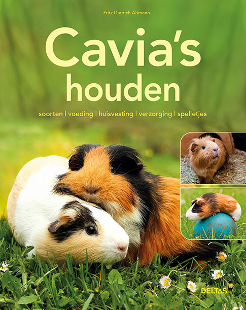 Cavia&apos;s houden