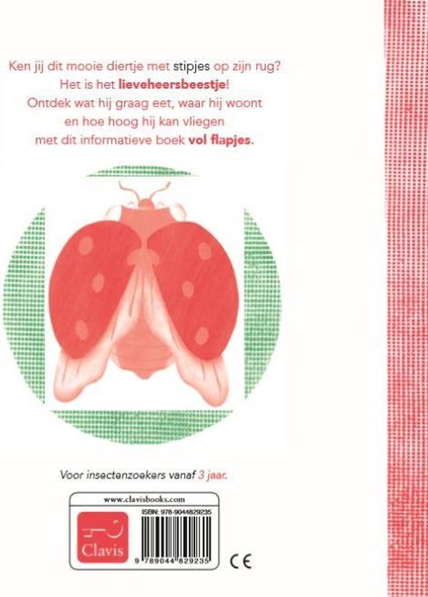 Het lieveheersbeestje