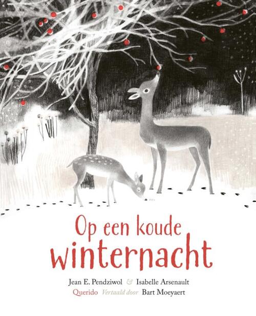 Querido Op een koude winternacht