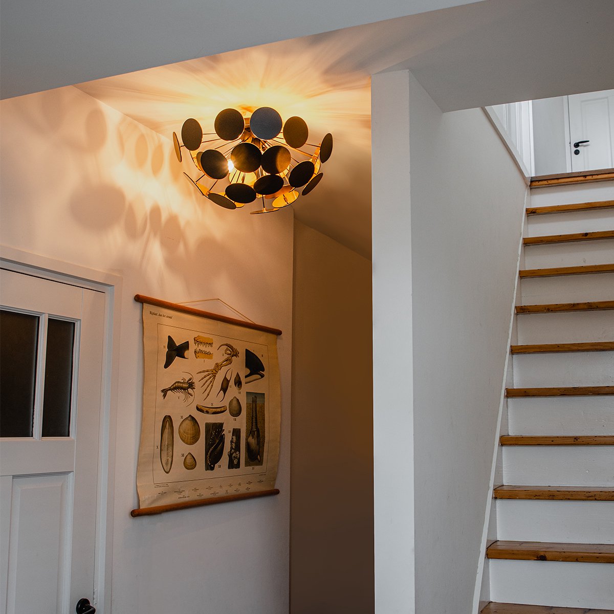 QAZQA Plafondlamp cerchio Design - D 35cm - Zwart