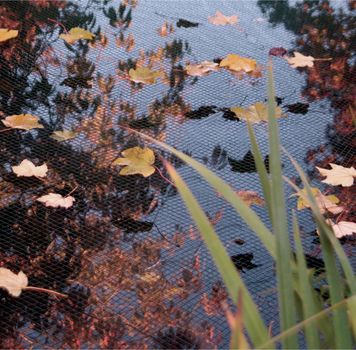 Ubbink Vijvernet PE 5x6 m 1064345 - Groen