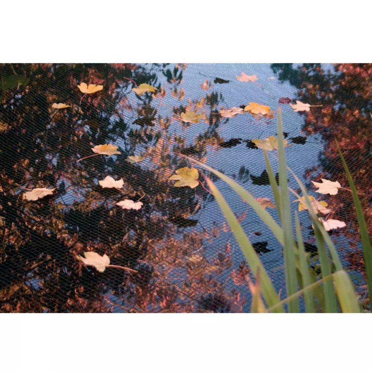 Ubbink Vijvernet PE 5x6 m 1064345 - Groen