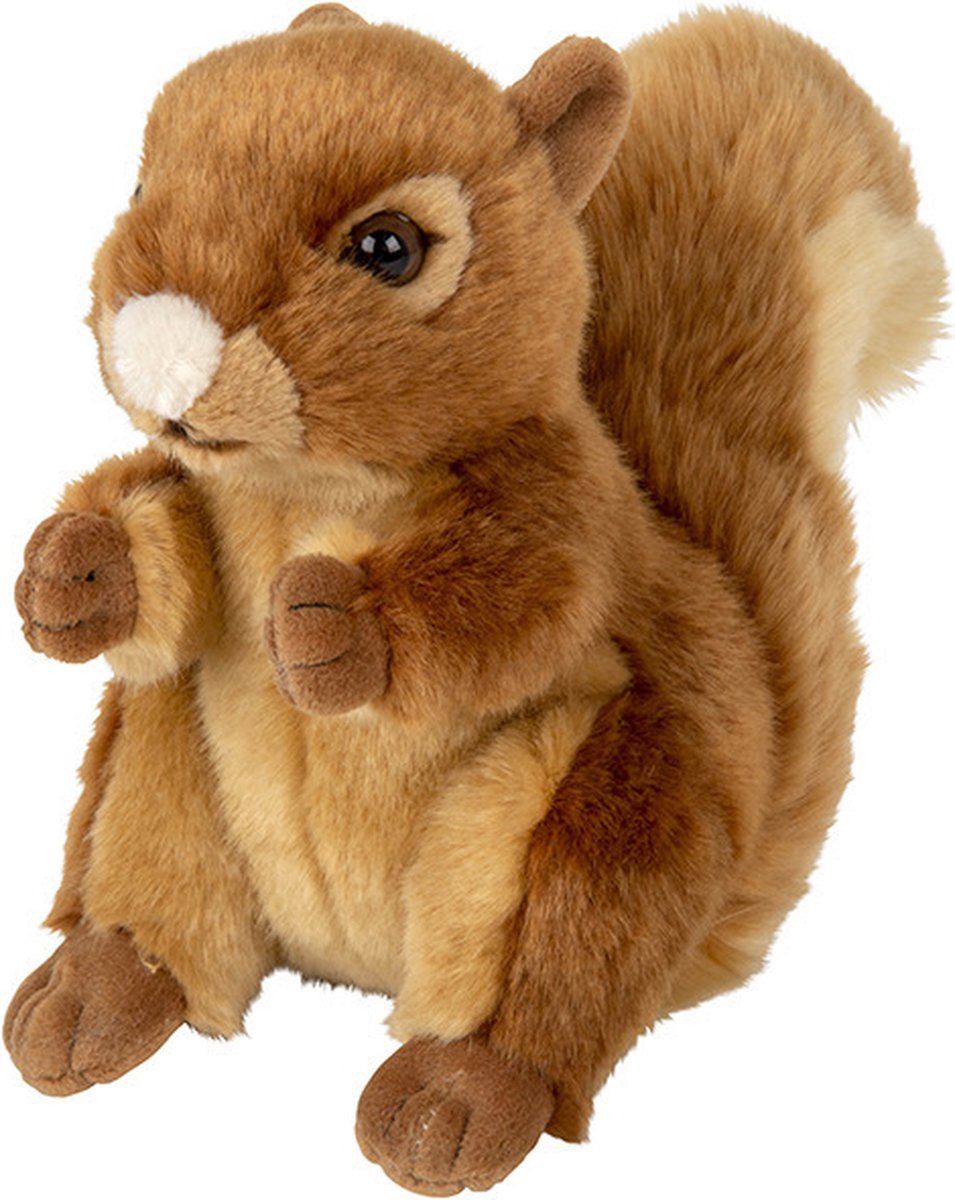 Bosdieren Zachte Pluche Knuffels 2x Stuks - Eekhoorn En Wasbeer Van 18 Cm - Knuffeldier