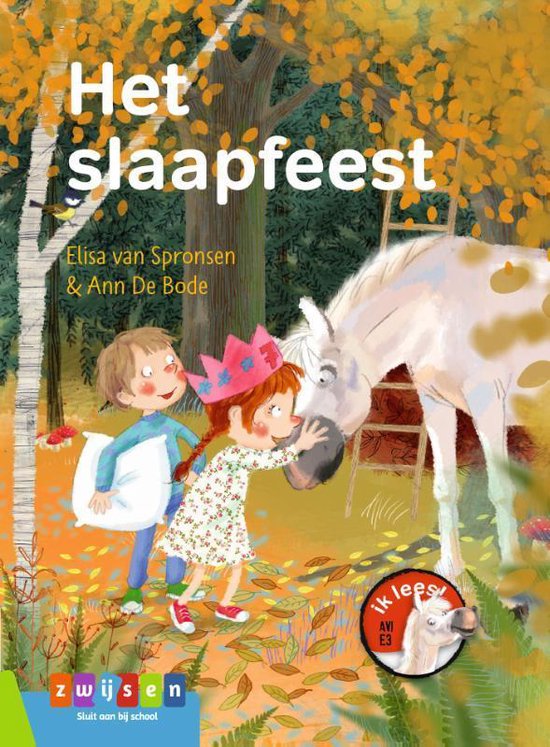 Het slaapfeest