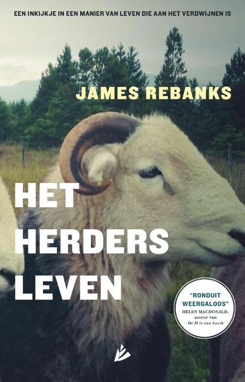 Hollands Diep Het herdersleven
