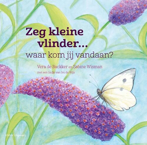 Zeg kleine vlinder