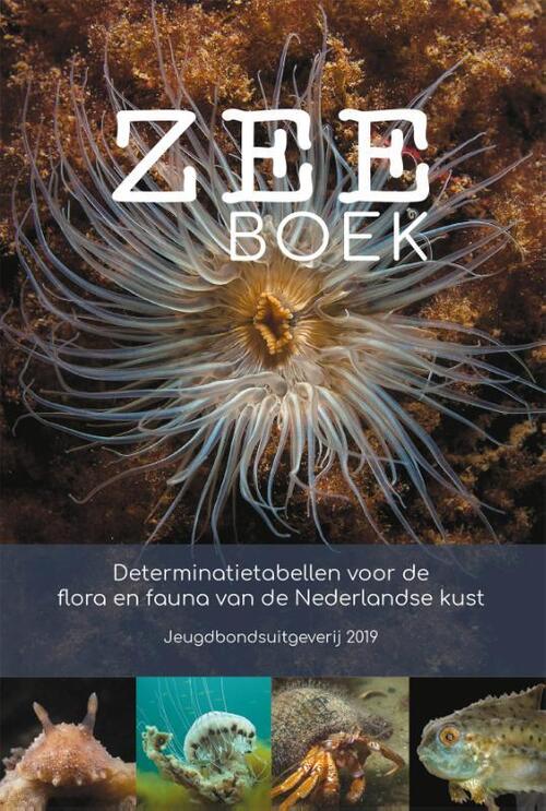 Jeugdbondsuitgeverij Zeeboek