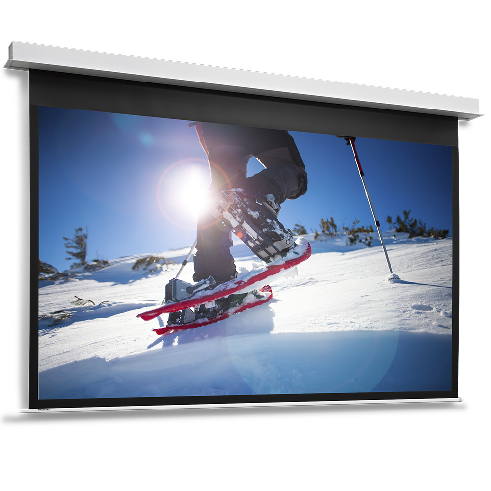 Projecta DescenderPro RF video mat wit