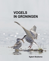 Vogels in Groningen