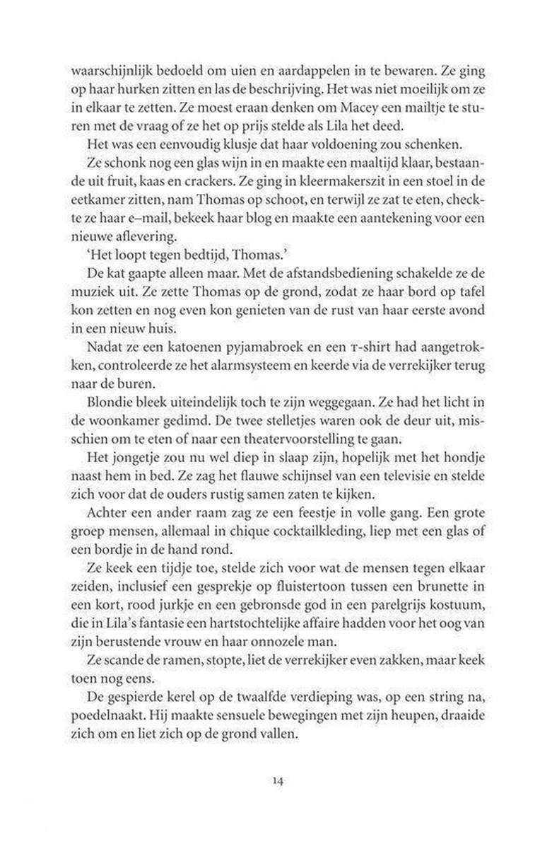 De schilder