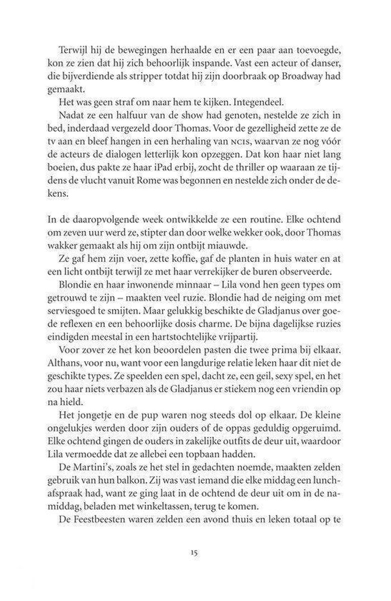 De schilder