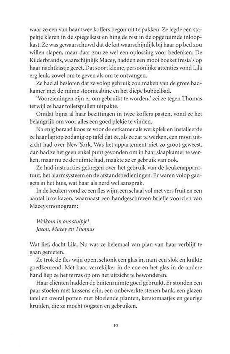 De schilder