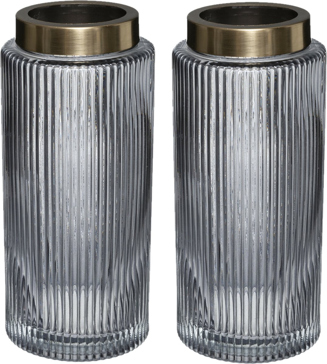 Bloemenvaas - 2x - Elegance - Cilinder Vorm Transparant - Glas - H26 X D12 Cm - Vazen - Grijs