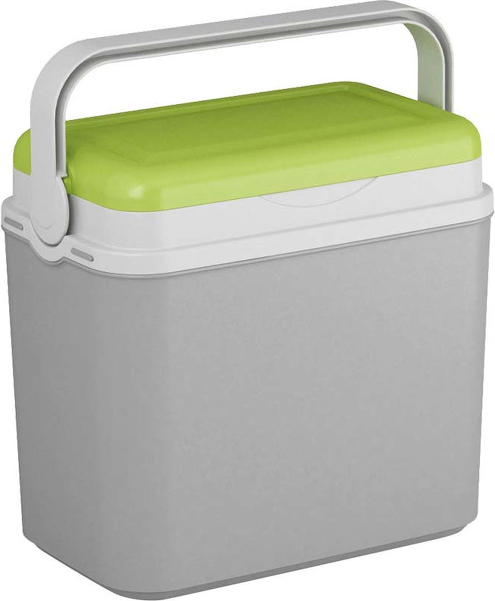 Koelbox/groen 10 Liter 30 X 19 X 28 Cm Incl. 2 Koelelementen - Koelboxen - Grijs