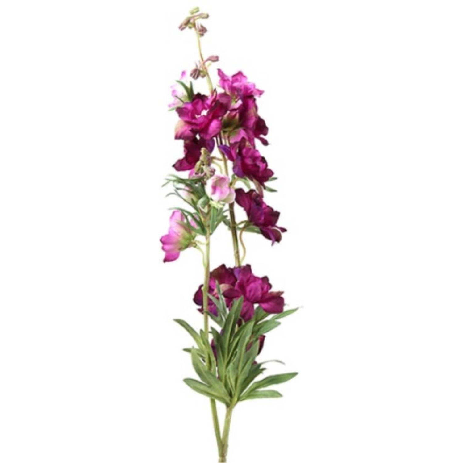 Countryfield Delphinium Jesika - 90 Cm - Paars