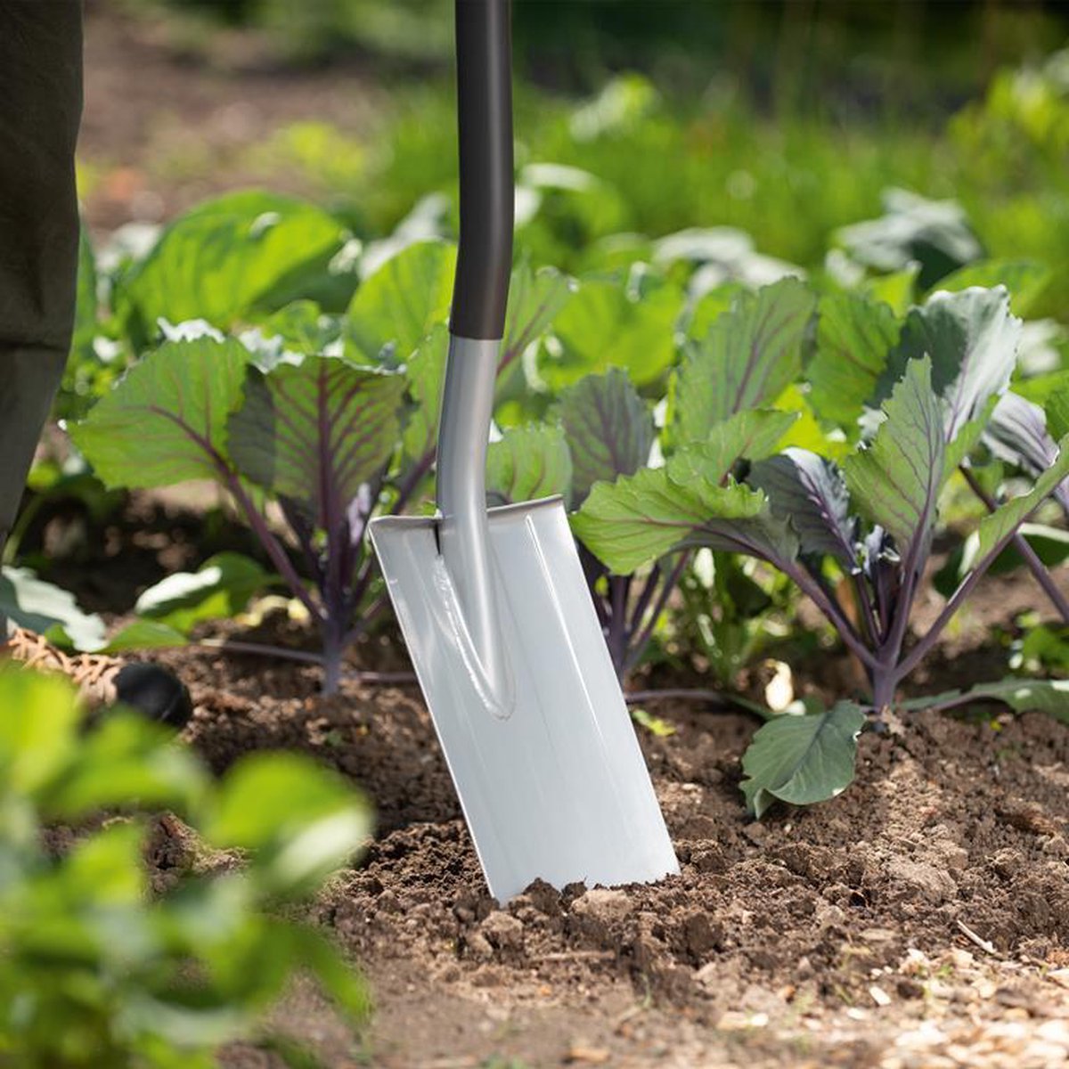 WOLF-Garten Herenspade AS-D - Rood