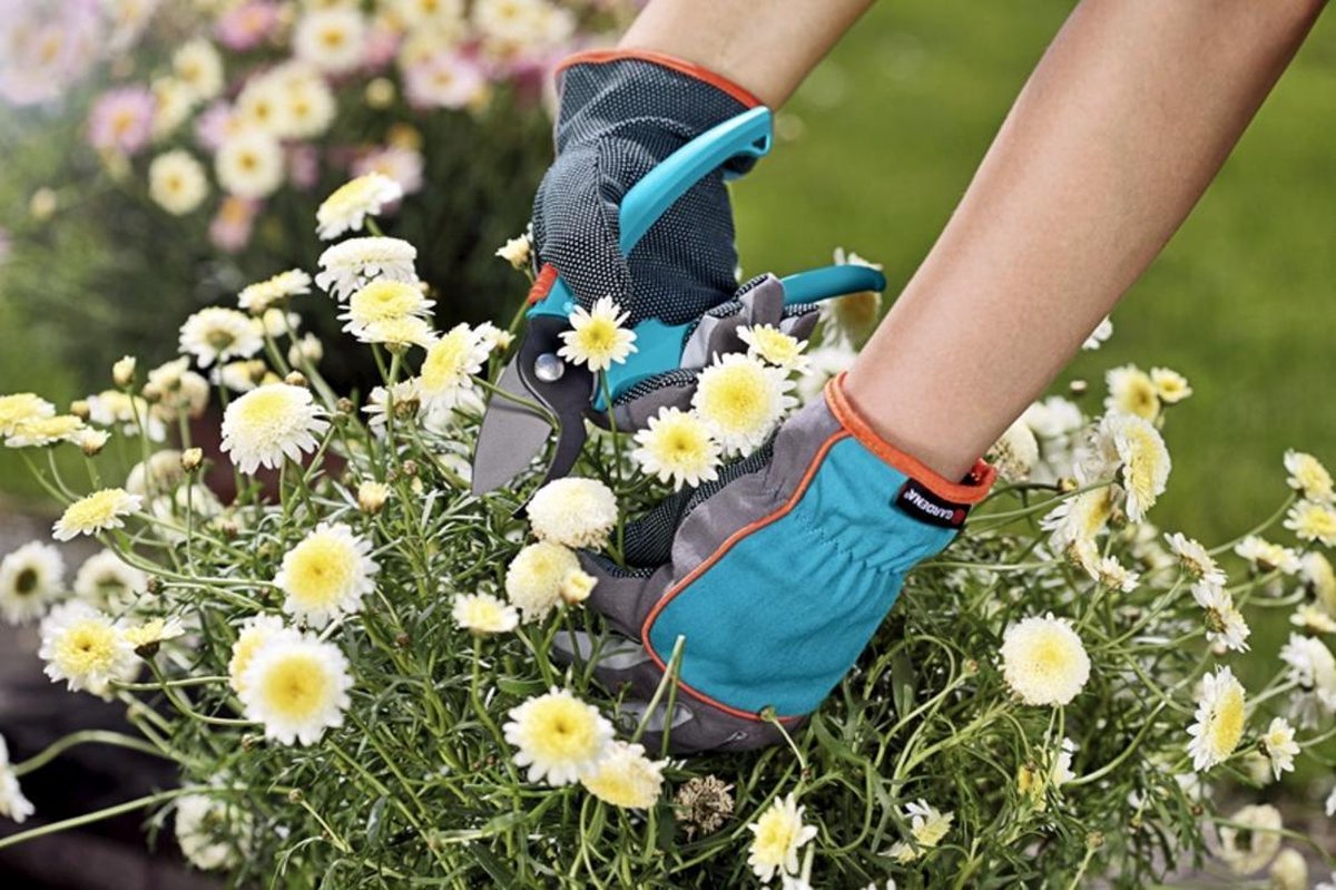 GARDENA Tuinhandschoen 11501-20, Maat 8 / M