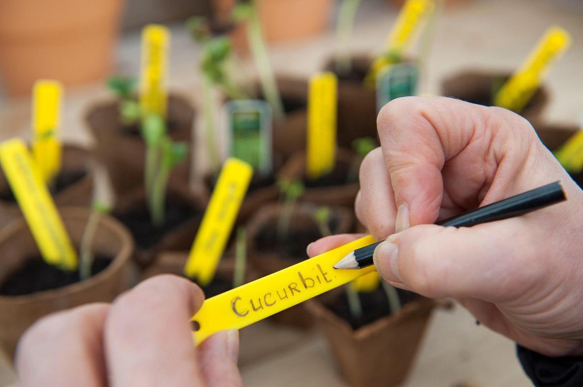 Nature Kweekset - Start - Groen