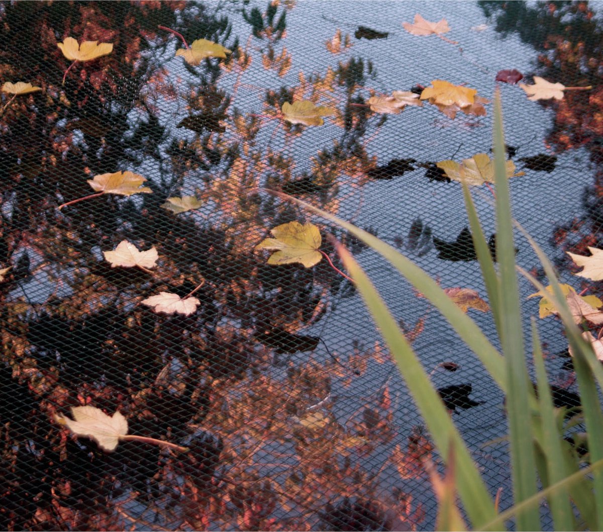 Ubbink Vijverafdeknet 3x6 m - Groen