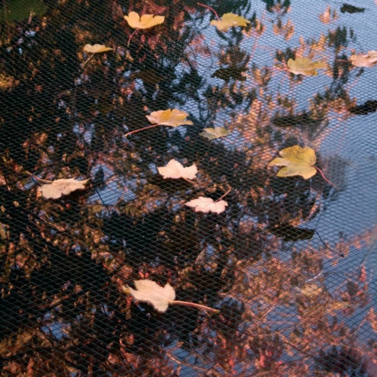 Ubbink Vijverafdeknet 3x6 m - Groen