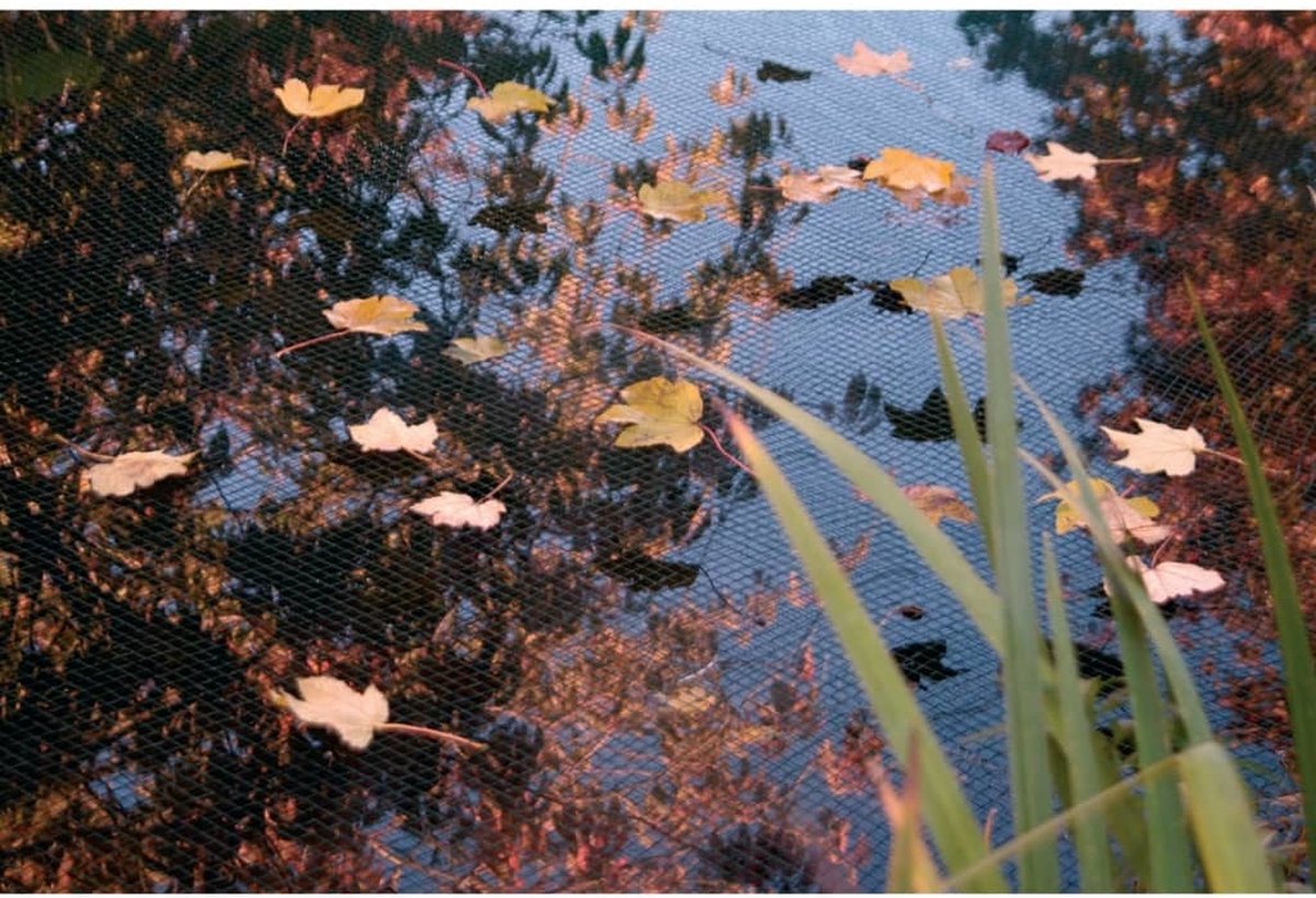 Ubbink Vijverafdeknet 3x6 m - Groen