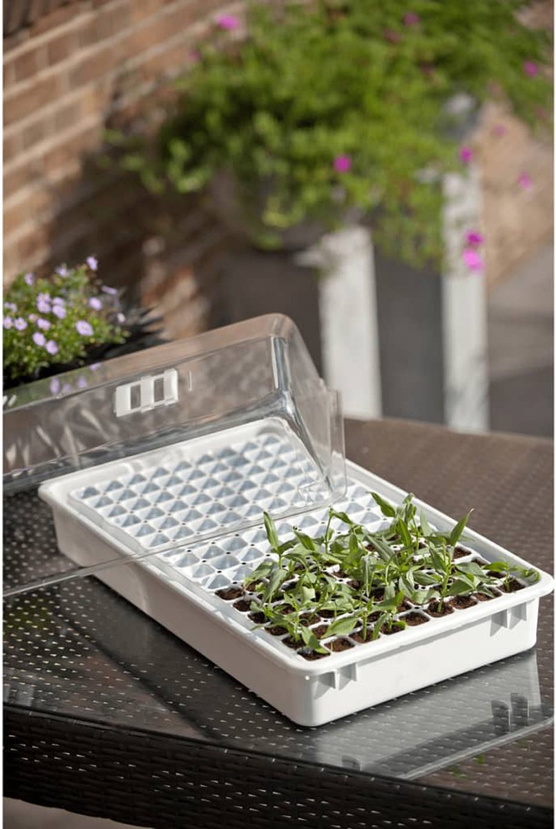 Nature Mini-kweekkasset met capillaire mat