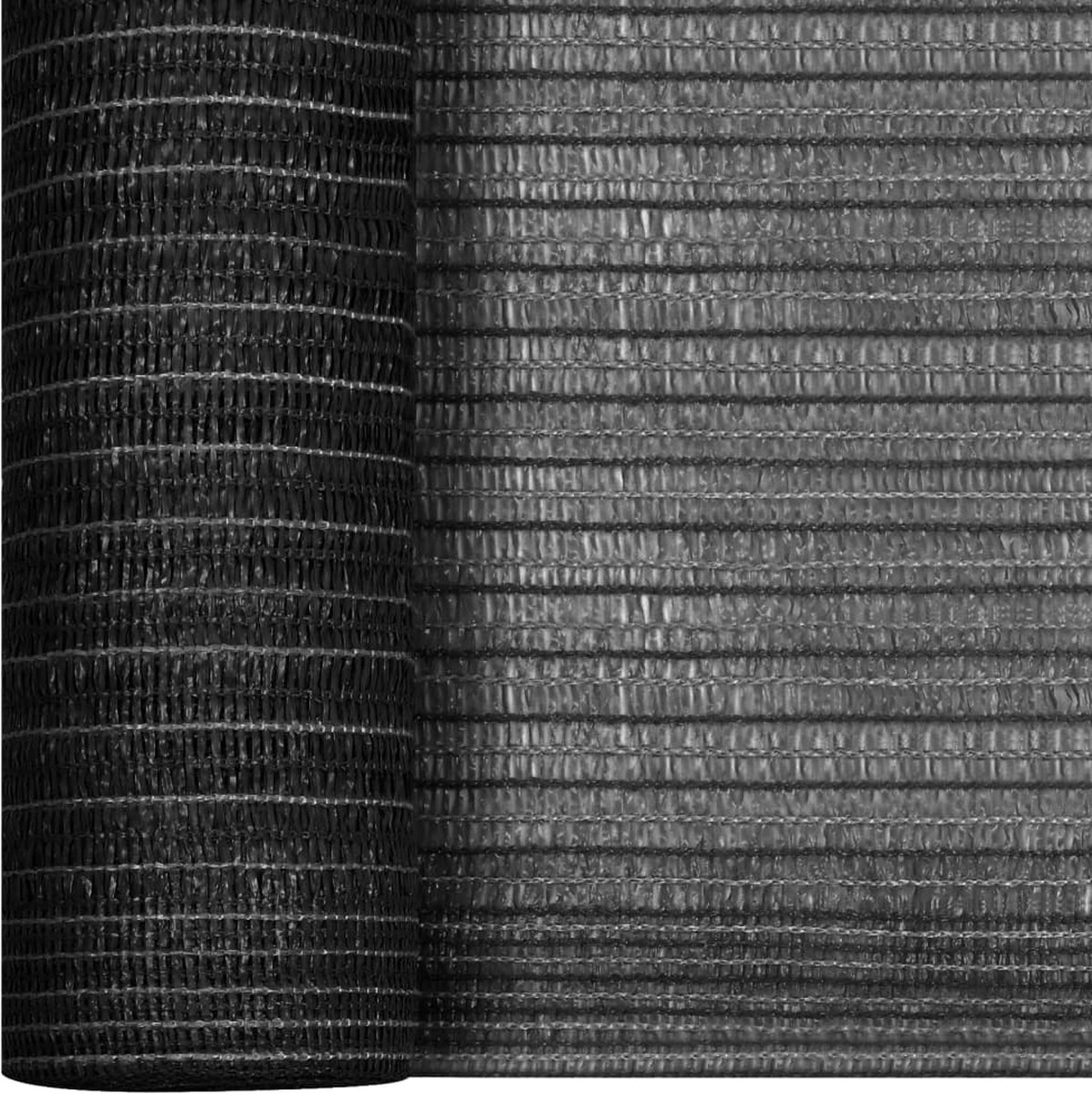 Vidaxl Privacynet 68 G/m² 1x10 M Hdpe Antracietkleurig