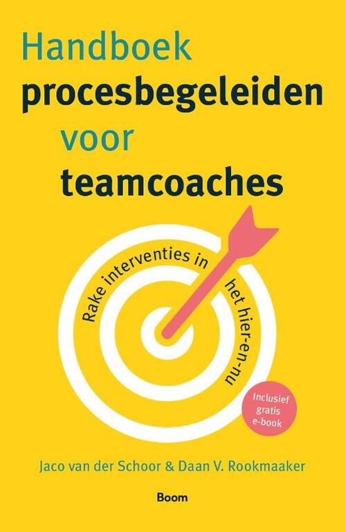 Boom Uitgevers Handboek procesbegeleiden voor teamcoaches