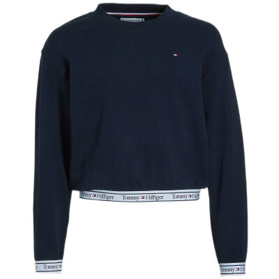 Tommy Hilfiger Sweater - Blauw