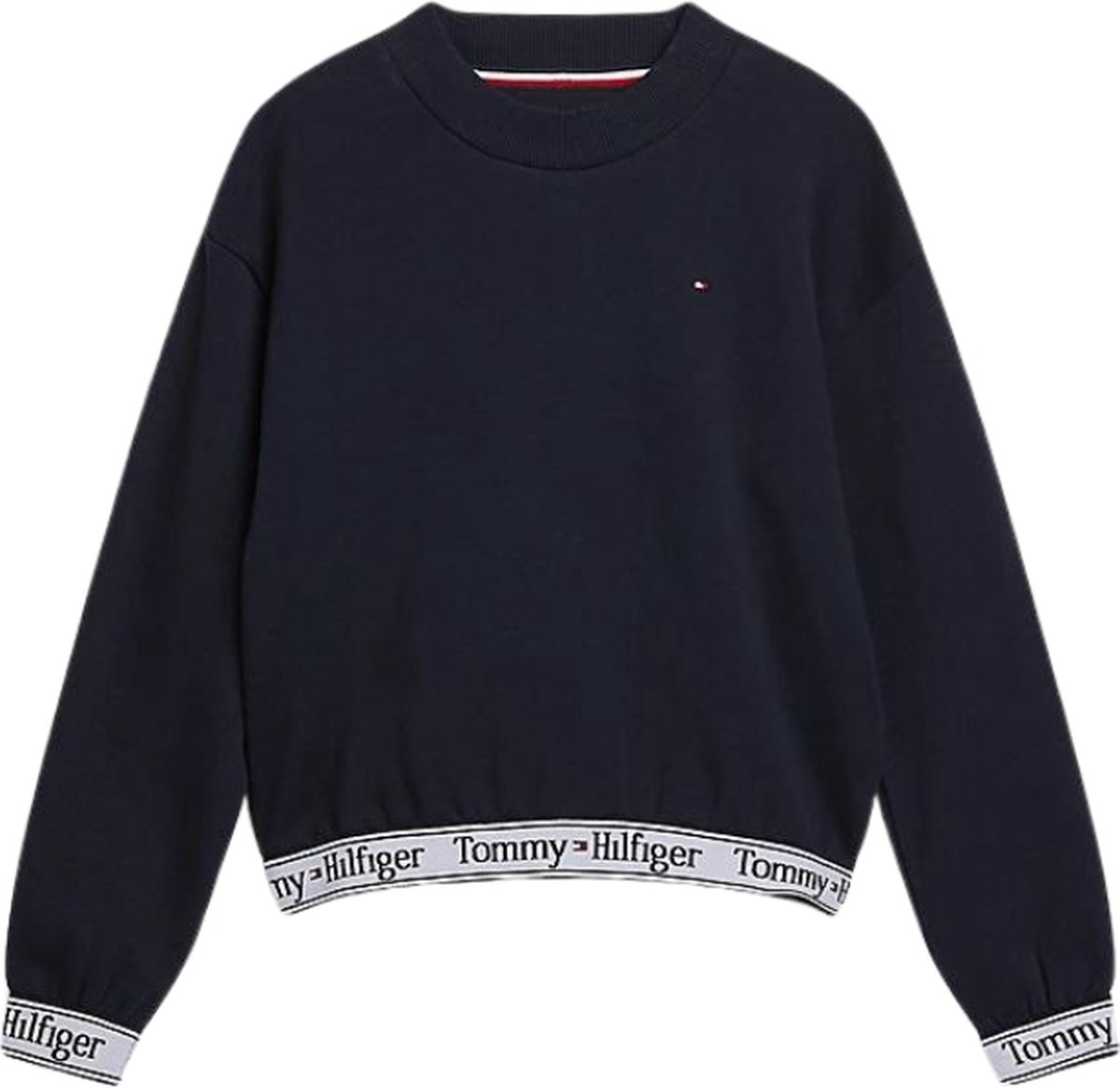 Tommy Hilfiger Sweater - Blauw