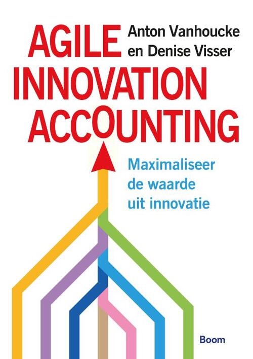 Agile Innovation Accounting